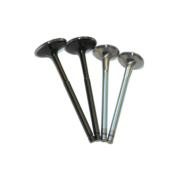 Valve Set, 2.0T FSI, Stock Size, Stainless/Inconel - image 2