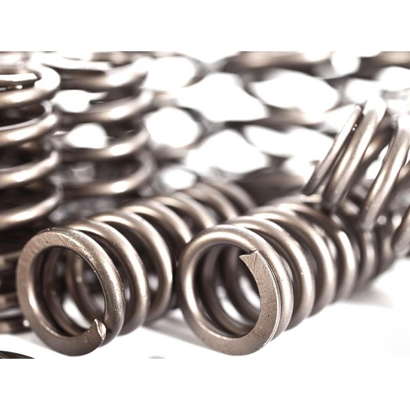 IE 1.8T 20V Valve Spring/Retainer Kit