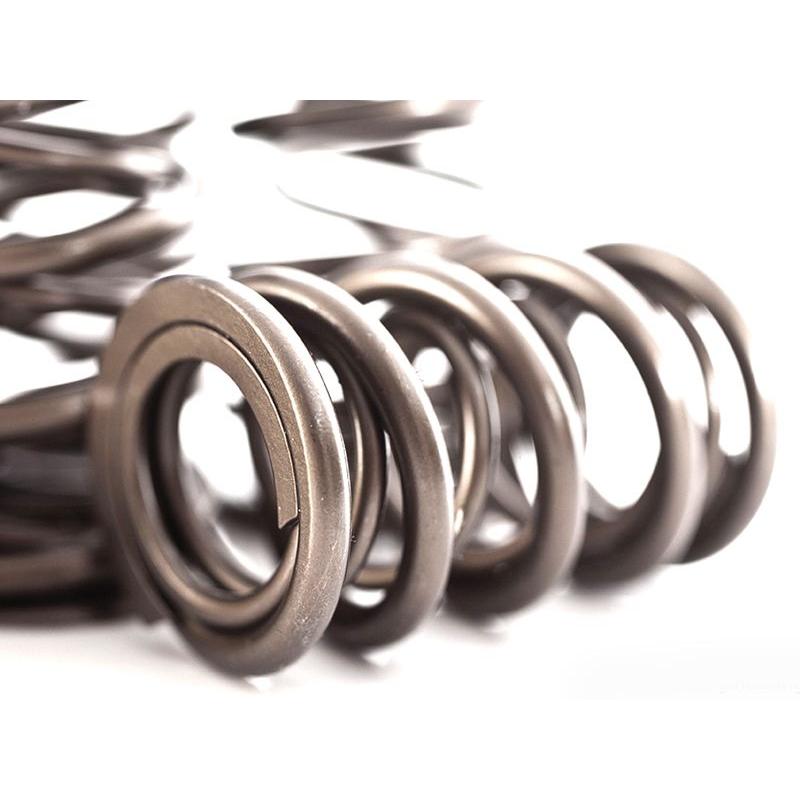 IE 1.8T 20V Valve Spring/Retainer Kit