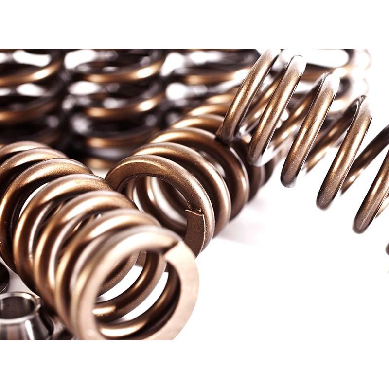 IE Valve Spring & Retainer Kit | Fits VW & Audi 2.5L Engines