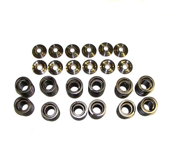 Valve Spring Set with Ti Retainers, 12v VR6