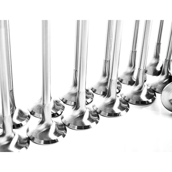 VW & AUDI 2.0T FSI, TSI, & 2.5L PERFORMANCE VALVES