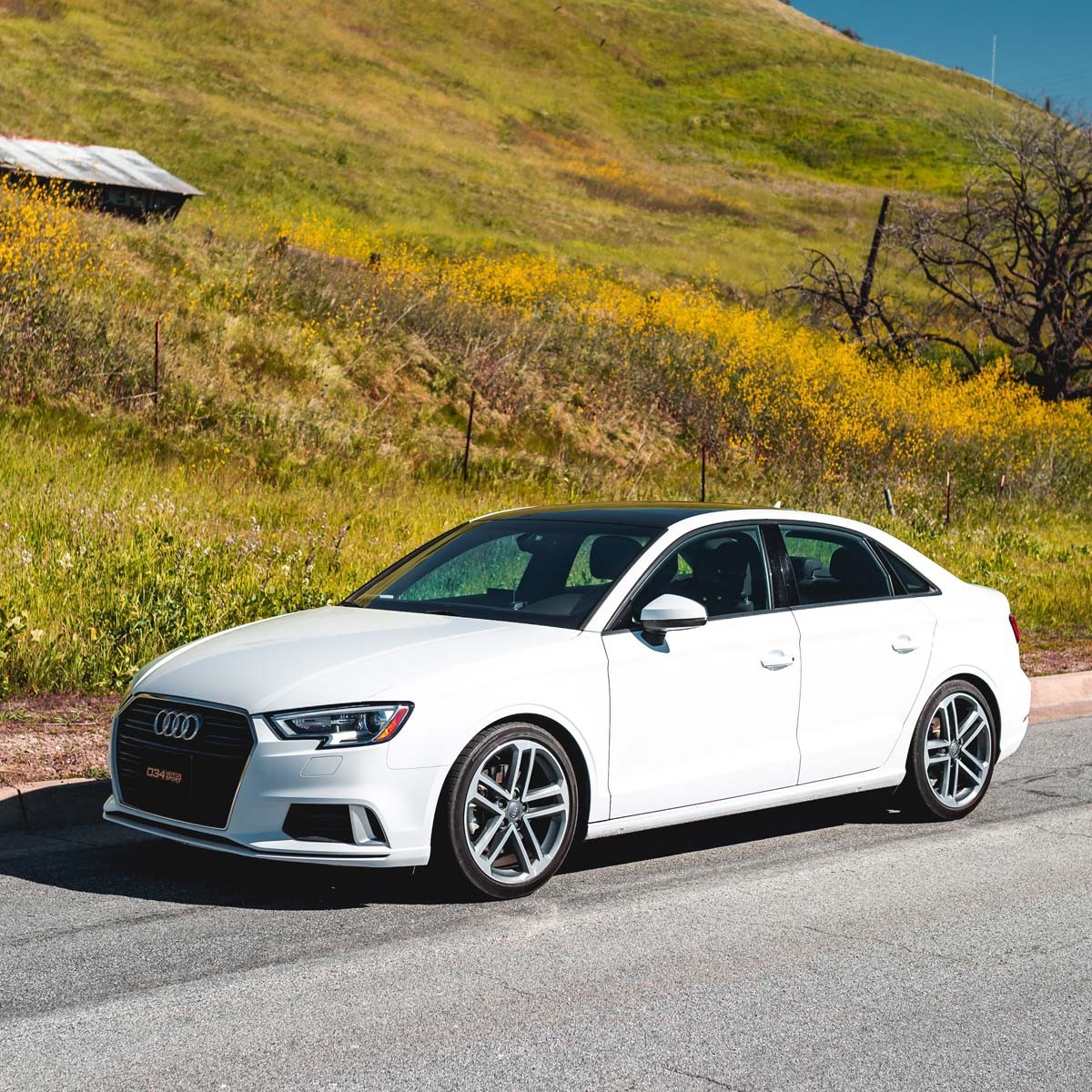 Dynamic+ Lowering Springs for 8V Audi A3/S3 (Non-Magride) - image 5