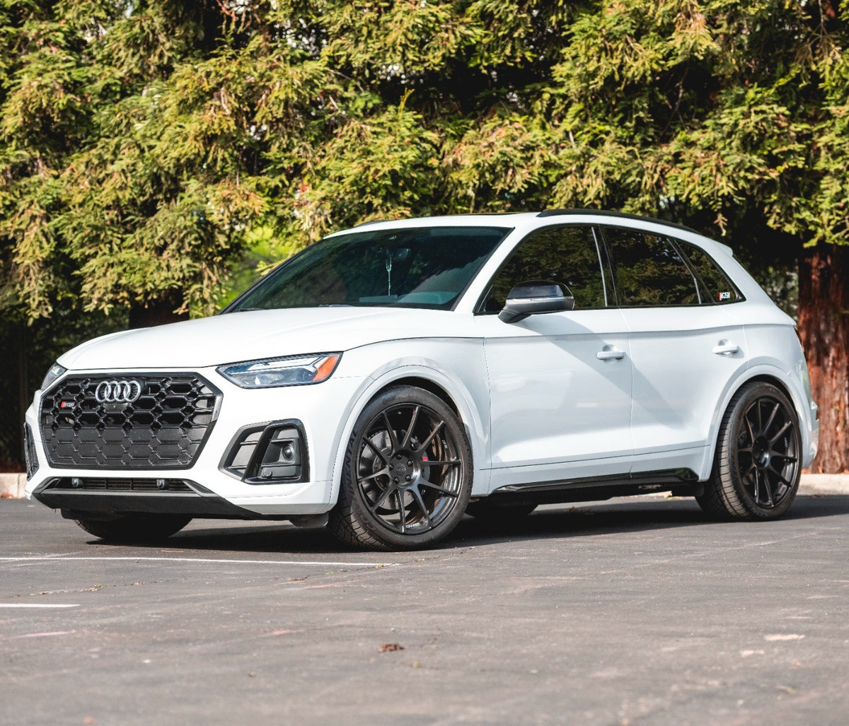 Dynamic+ Lowering Springs, B9/B9.5 Audi SQ5 - image 5